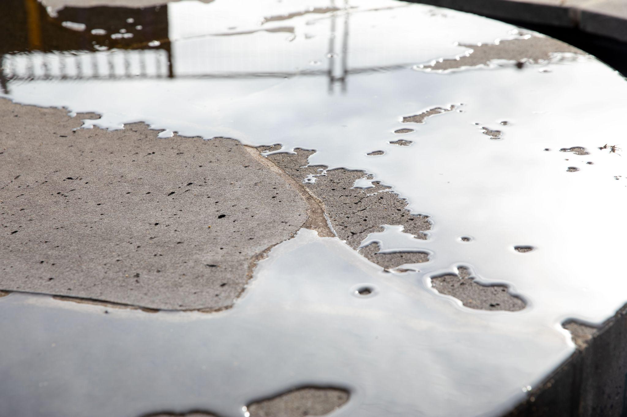 Garden of Reflection